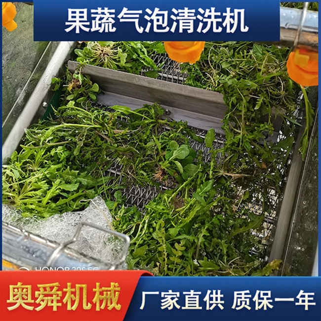 蔬菜清洗機 奧舜機械菠菜芹菜清洗機 葉菜清洗設備